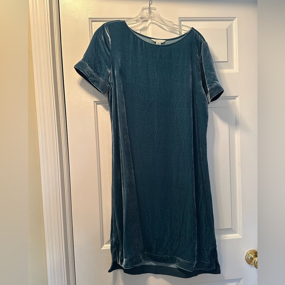 Velvet Dress